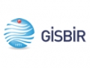 GİSBİR