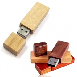 Ahşap Gövdeli Şekilli  Usb Bellek