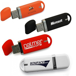 Promosyon Plastik Gövdeli Usb Bellek Resmi