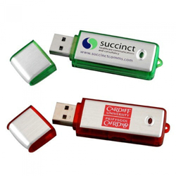 Plastik Gövdeli Usb Bellek