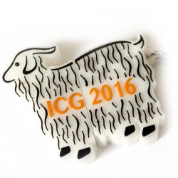 ICG 2016 Usb Bellek