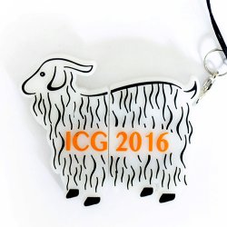 ICG 2016 Usb Bellek