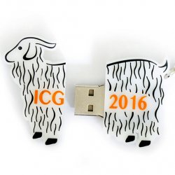 Promosyon ICG 2016 Usb Bellek Resmi