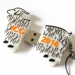 ICG 2016 Usb Bellek