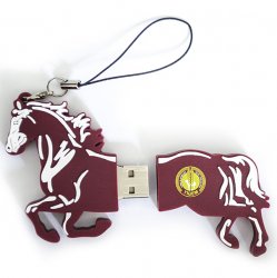 TİGEM Usb Bellek