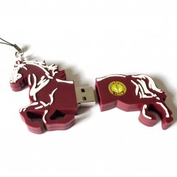 TİGEM Usb Bellek