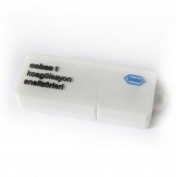 Roche Usb Bellek